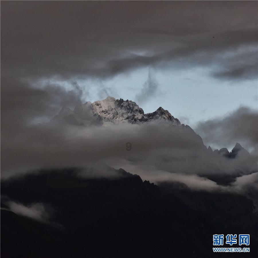 小艾比当营养师